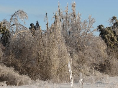 פאזל של Across the field after ice storm