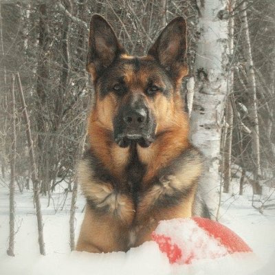 GSD jigsaw puzzle