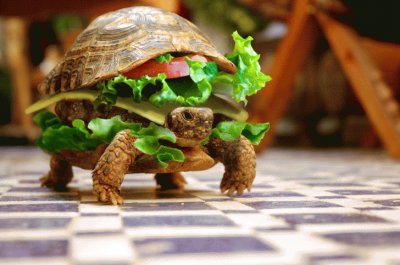 ANIMALES