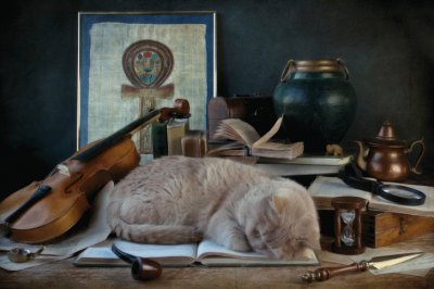 ANIMALES