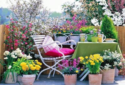 terraza con flores