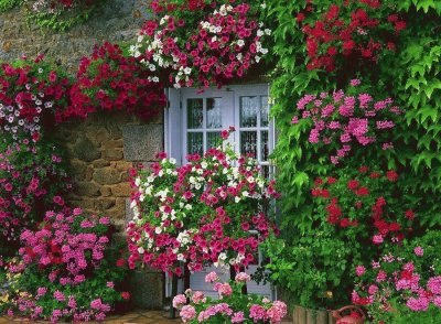 Cottage jigsaw puzzle