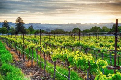 Sonoma, California jigsaw puzzle