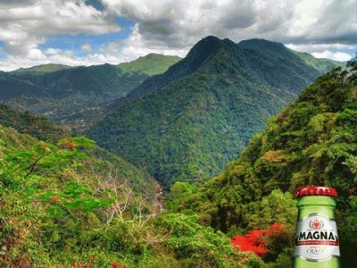 Cerveza Magna hecha en Puerto Rico