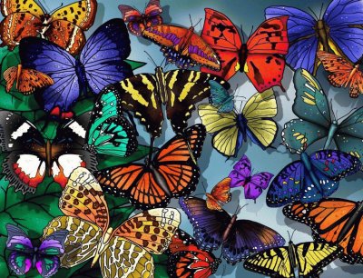 mariposa 3 jigsaw puzzle