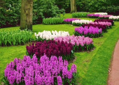 jardin