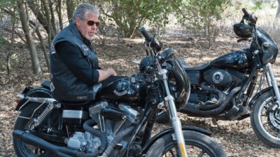 פאזל של ron perlman, sons of anarchy