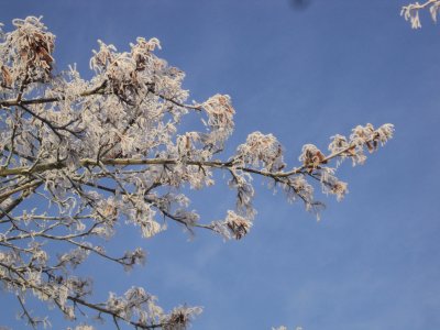 פאזל של Winterday 2016 in Bremen