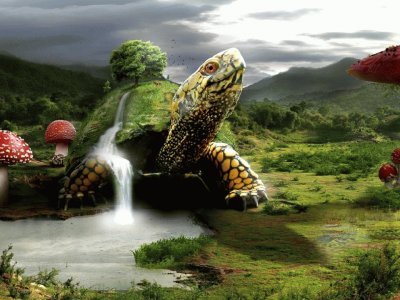 imagens