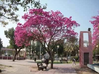 פאזל של La Banda. Santiago del Estero. Argentina