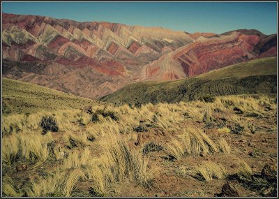 El Horconal. Jujuy. Argentina jigsaw puzzle