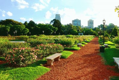 פאזל של El Rosedal. Ciudad de Buenos Aires. Argentina