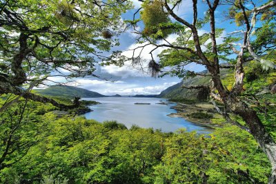 פאזל של Lapataia. Tierra del Fuego. Argentina