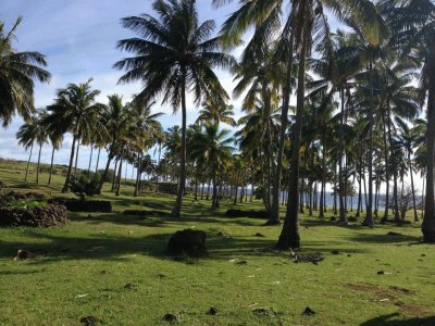 Anakena, isla de pascua jigsaw puzzle