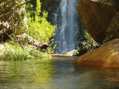 פאזל של lago