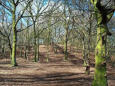 Stapleford Hill jigsaw puzzle