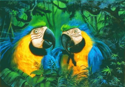 Guacamayas jigsaw puzzle