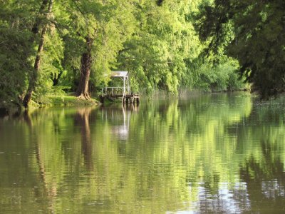 En el Delta. Buenos Aires. Argentina jigsaw puzzle