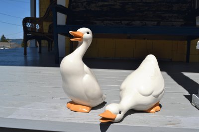 פאזל של Ducks