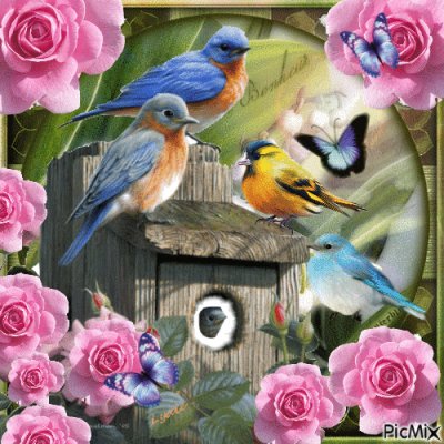 Birds jigsaw puzzle