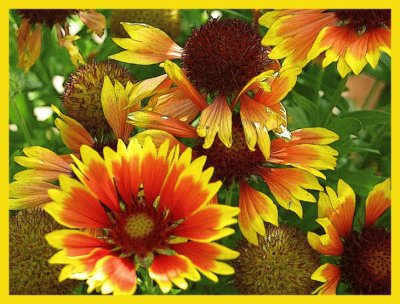 Flors jigsaw puzzle