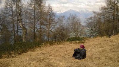 פאזל של veduta alto lago di como