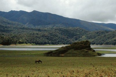 Copete Huamanpata