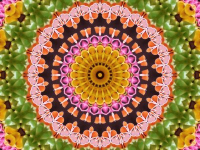FaraÃ³n