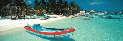 beach and boats