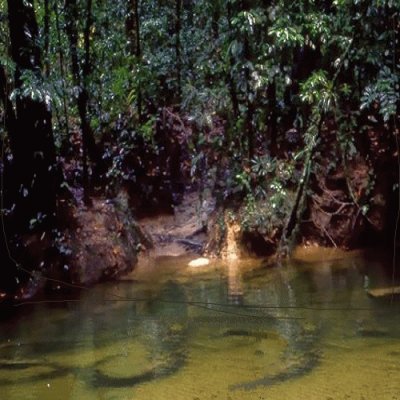 Entrance to Clearwater Cave