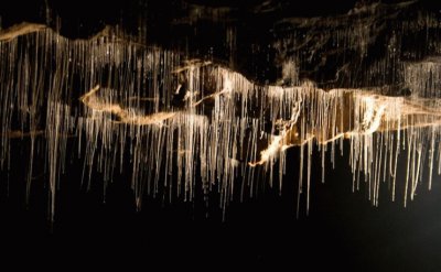 פאזל של Waitomo Caves