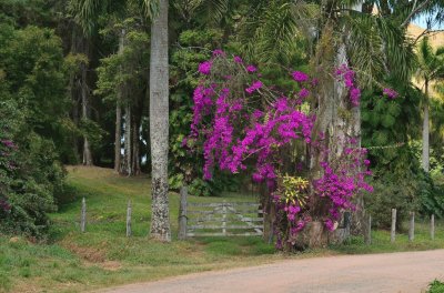 פאזל של Porteira enfeitada com primavera