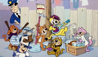don gato