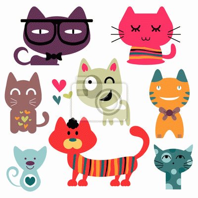 gatos