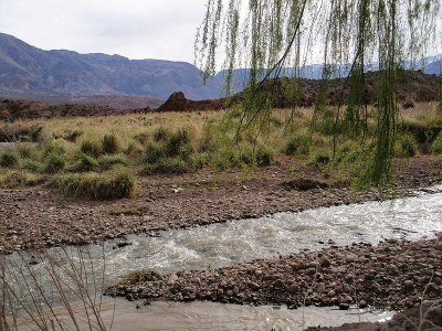 En Uspallata. Mendoza. Argentina