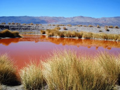 Ojos del Campo. Catamarca. Argentina jigsaw puzzle