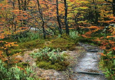 PN Tierra del Fuego. Argentina jigsaw puzzle