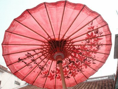 ç´™å‚˜