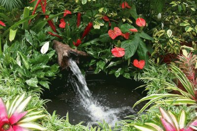 Fuente flores en Aibonito