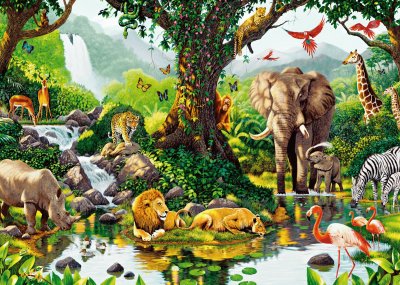 selva jigsaw puzzle