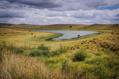 פאזל של UtracÃ¡n. La Pampa. Argentina