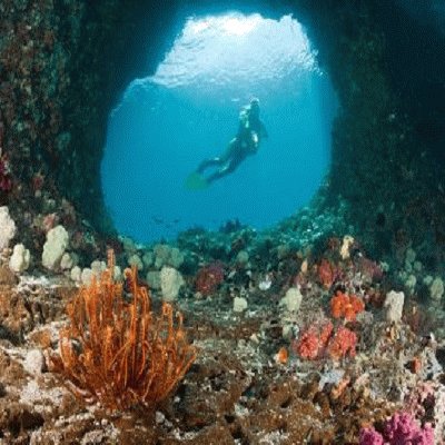 Cenote b jigsaw puzzle