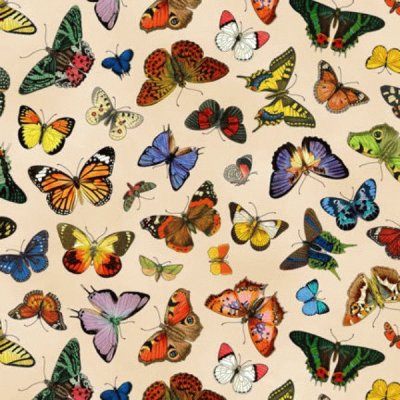 Mariposas jigsaw puzzle