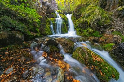 En el PN Los Glaciares. Patagonia Argentina jigsaw puzzle