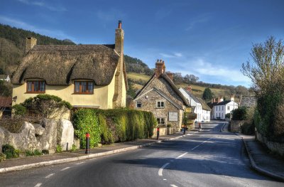 Village_Axmouth_ jigsaw puzzle