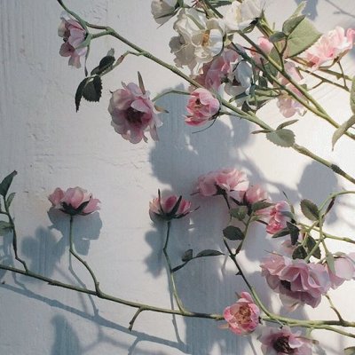 pale roses jigsaw puzzle