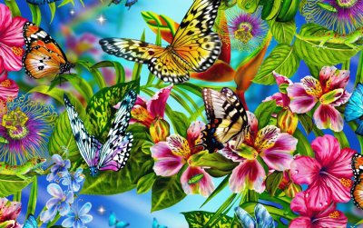 mariposas