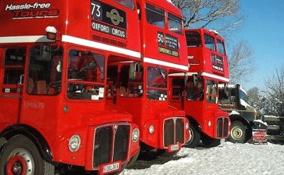 London Buses in New Zealand jigsaw puzzle