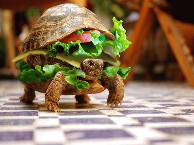 Tortuga-Hamburgesa jigsaw puzzle