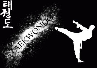 Taekwondo jigsaw puzzle